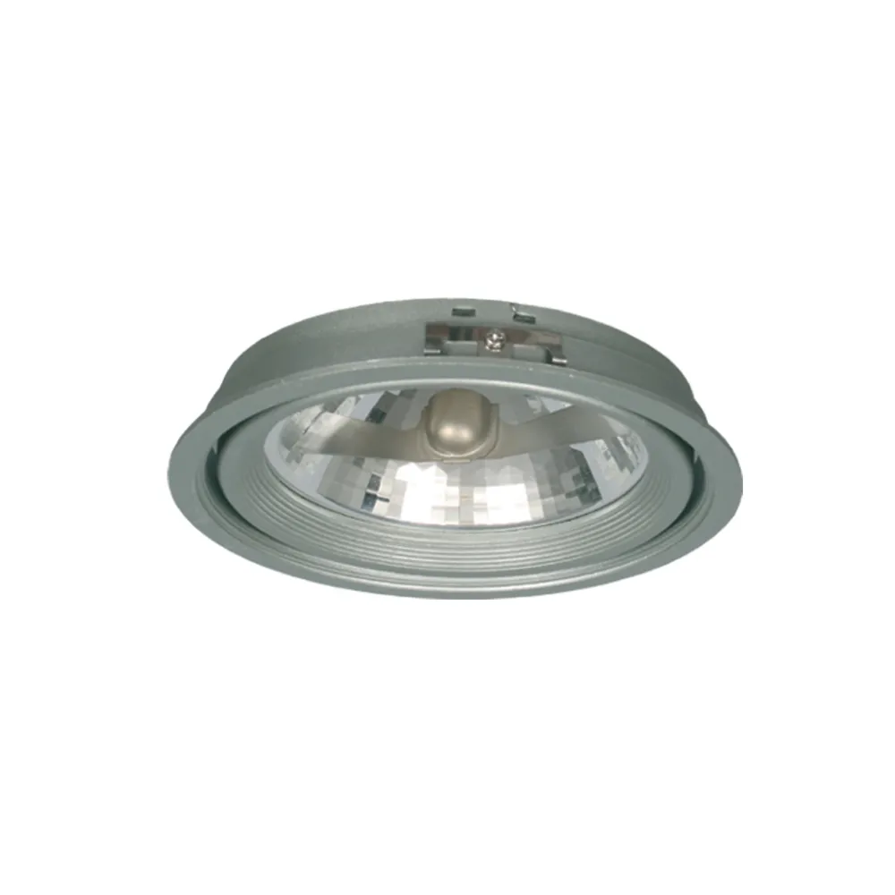 Χωνευτό φωτιστικό Combi Ασημί AR-111