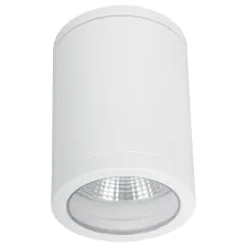 Φωτιστικό οροφής Paolo Grande Λευκό E27/GU10 15W IP54