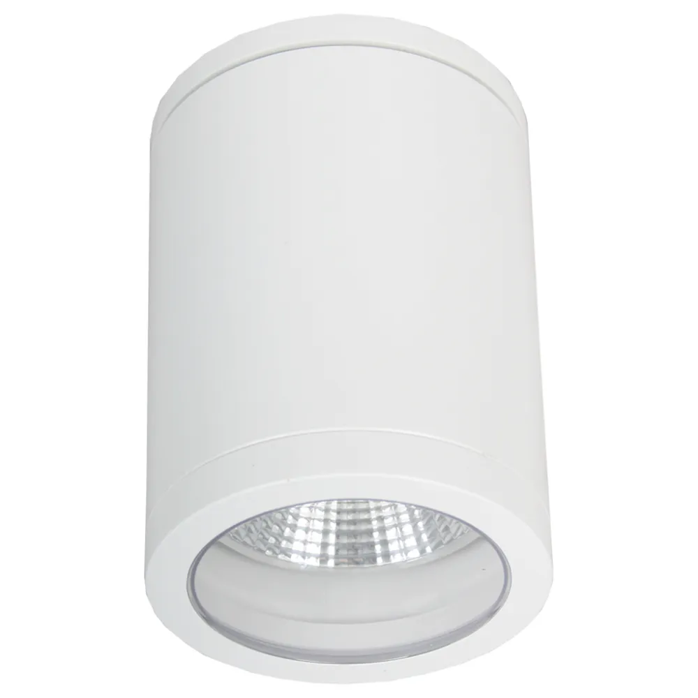 Φωτιστικό οροφής Paolo Grande Λευκό E27/GU10 15W IP54