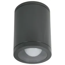 Φωτιστικό οροφής Paolo Grande Ανθρακί E27/GU10 15W IP54