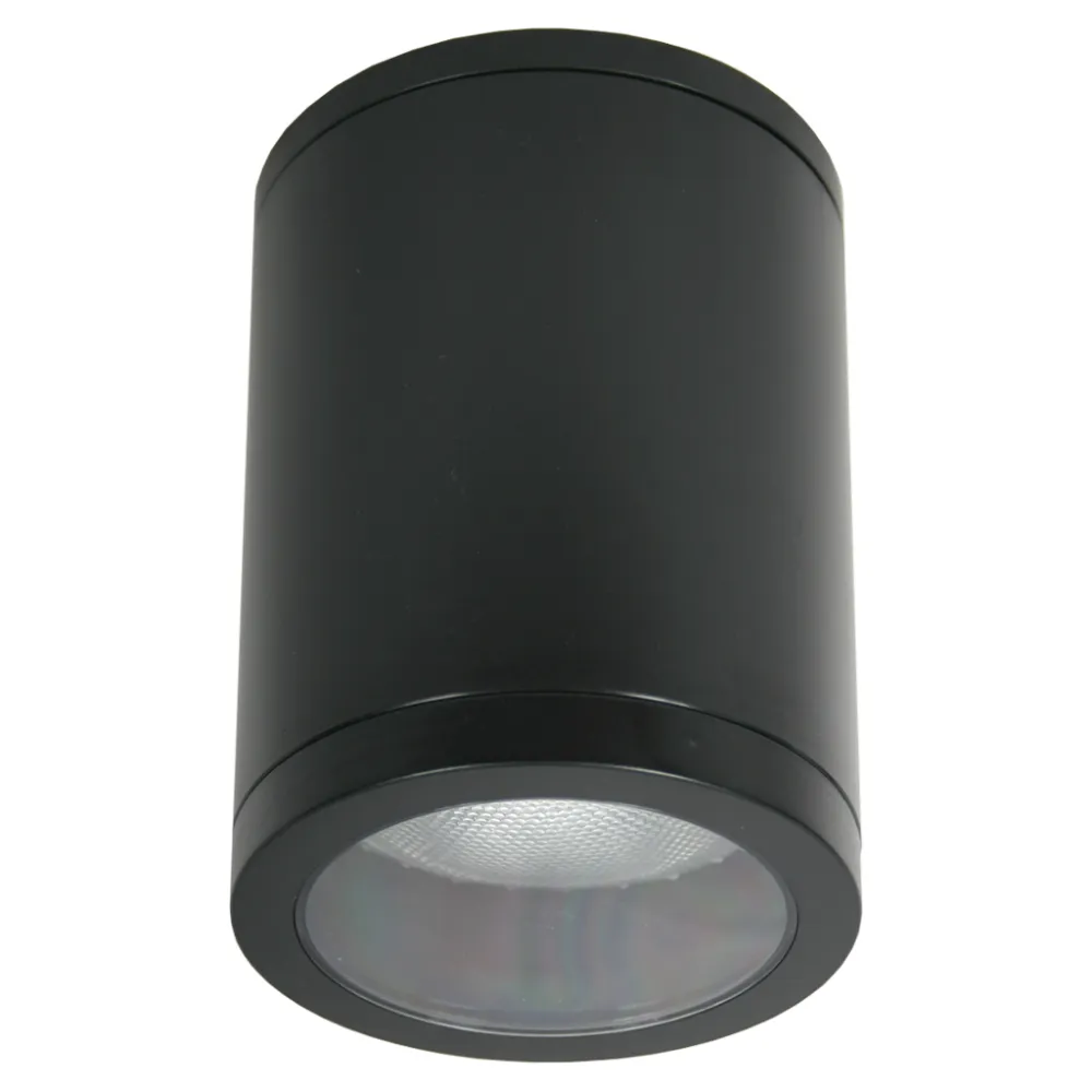 Φωτιστικό οροφής Paolo Grande Μαύρο E27/GU10 15W IP54