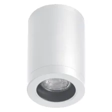 Φωτιστικό οροφής Paolo Λευκό GU10 7W IP54