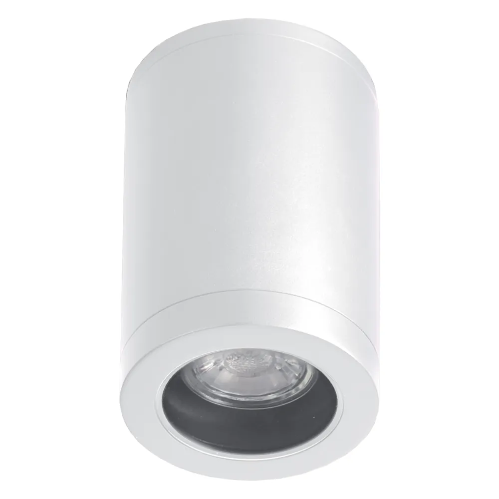 Φωτιστικό οροφής Paolo Λευκό GU10 7W IP54