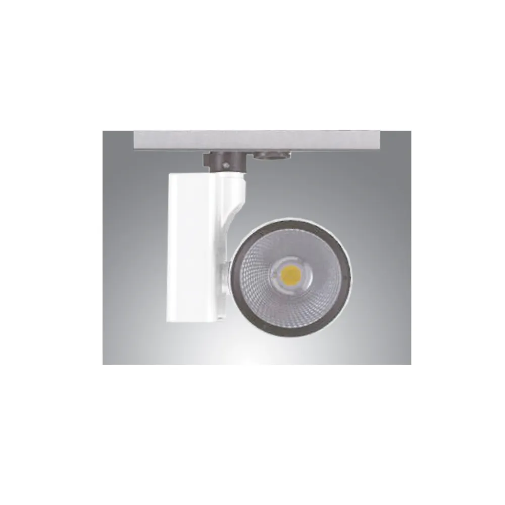 Spot ράγας Kanl Led Λευκό max50W 5000Lumen@