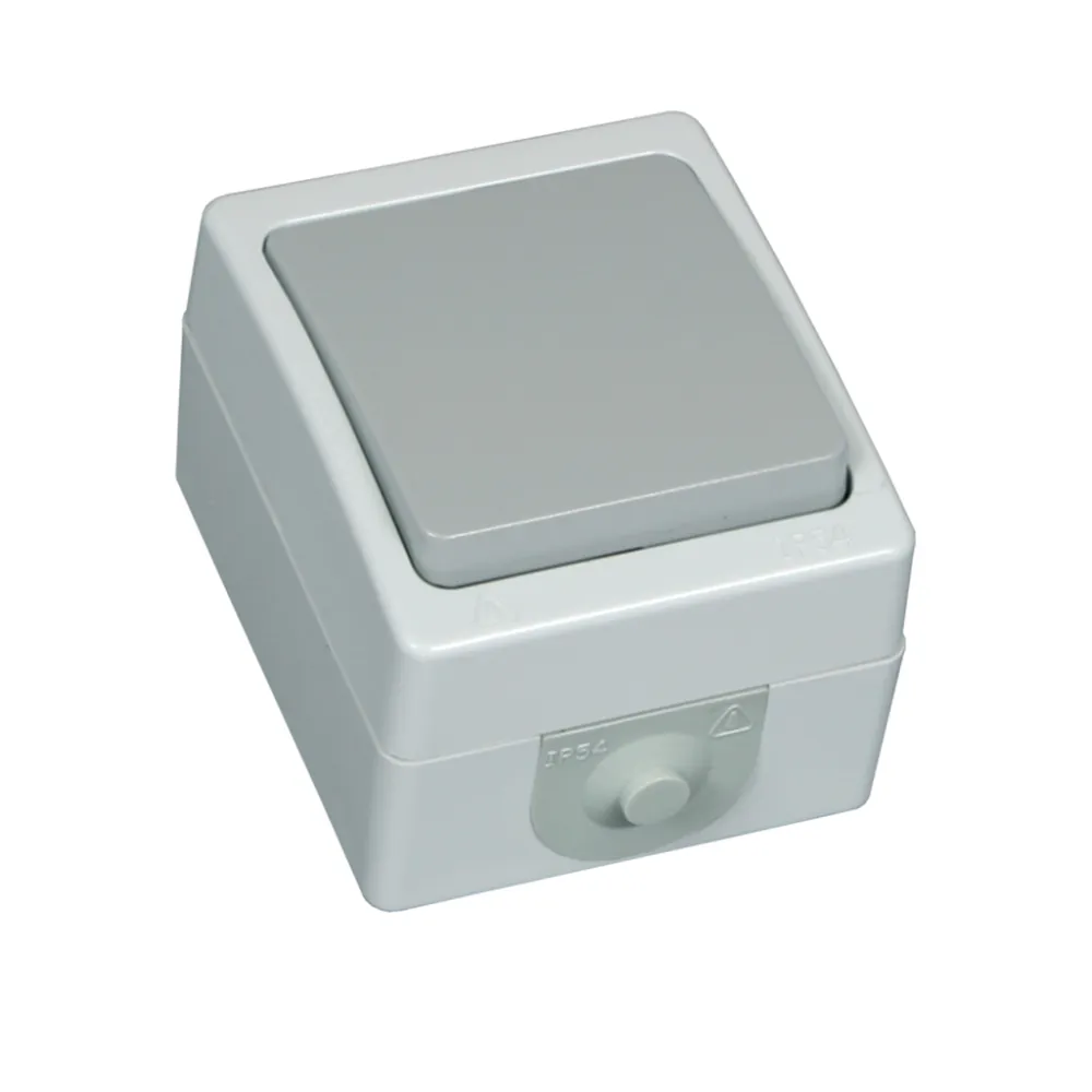 Διακόπτης Στεγανός A/R IP54 Ασημί 10A Γερμανικών Προδιαγραφών VDE