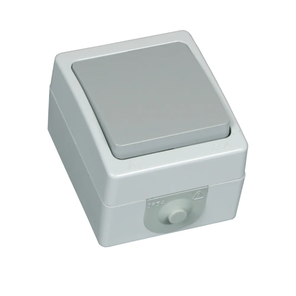 Μπουτόν στεγανό Ασημί IP54 10A Γερμανικών Προδιαγραφών VDE