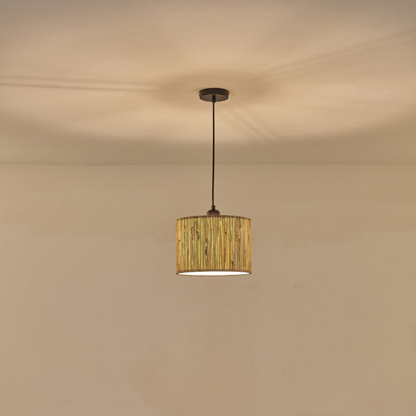 Φωτιστικό Κρεμαστό Pampas Μονόφωτο 1xE27 Max 15W Φ250x1260mm Μπεζ ARTE ILLUMINA Aenon - εικόνα 3